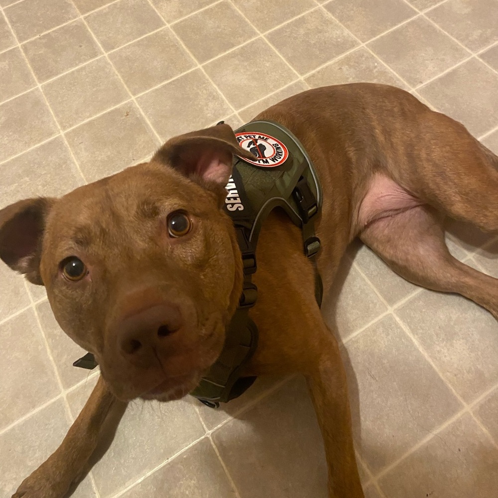 Meet your Posher, Elliott